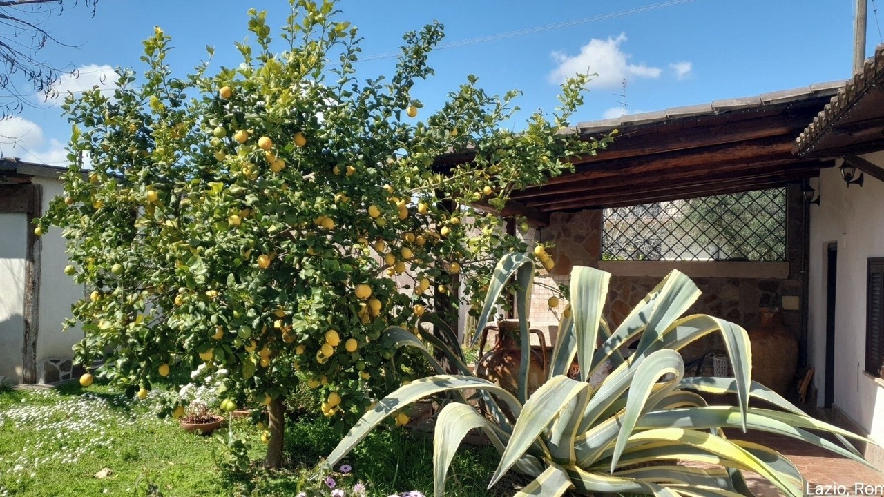 Photo of Outdoor in Zona LI La Storta