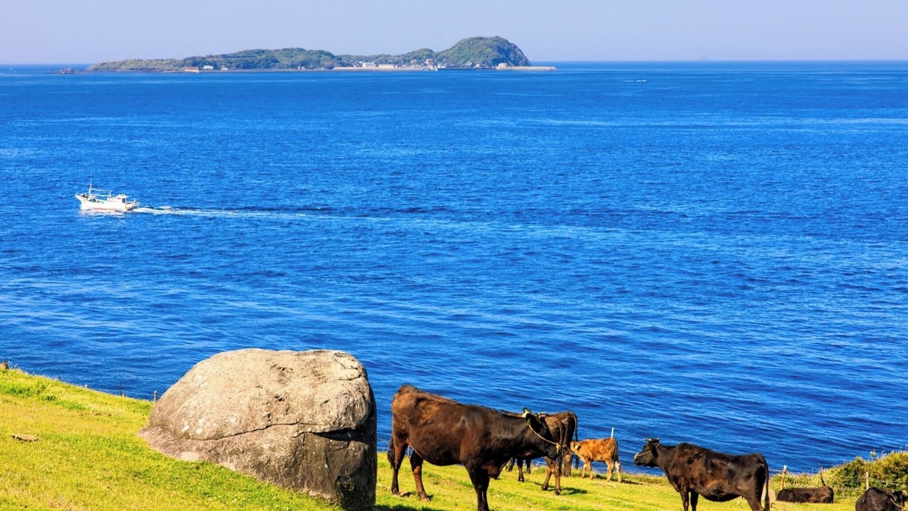 Photo of Others in Karatsu