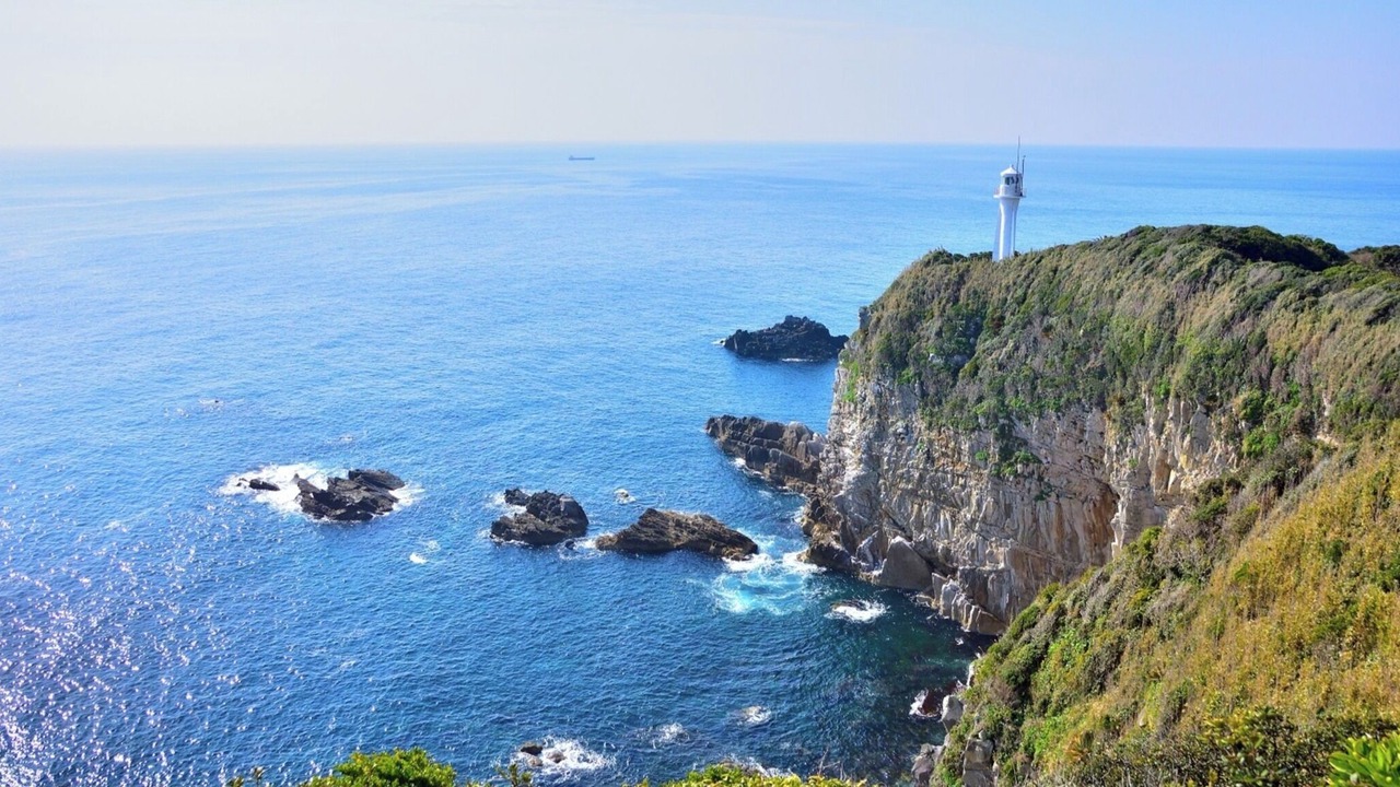 Photo of Others in Tosashimizu