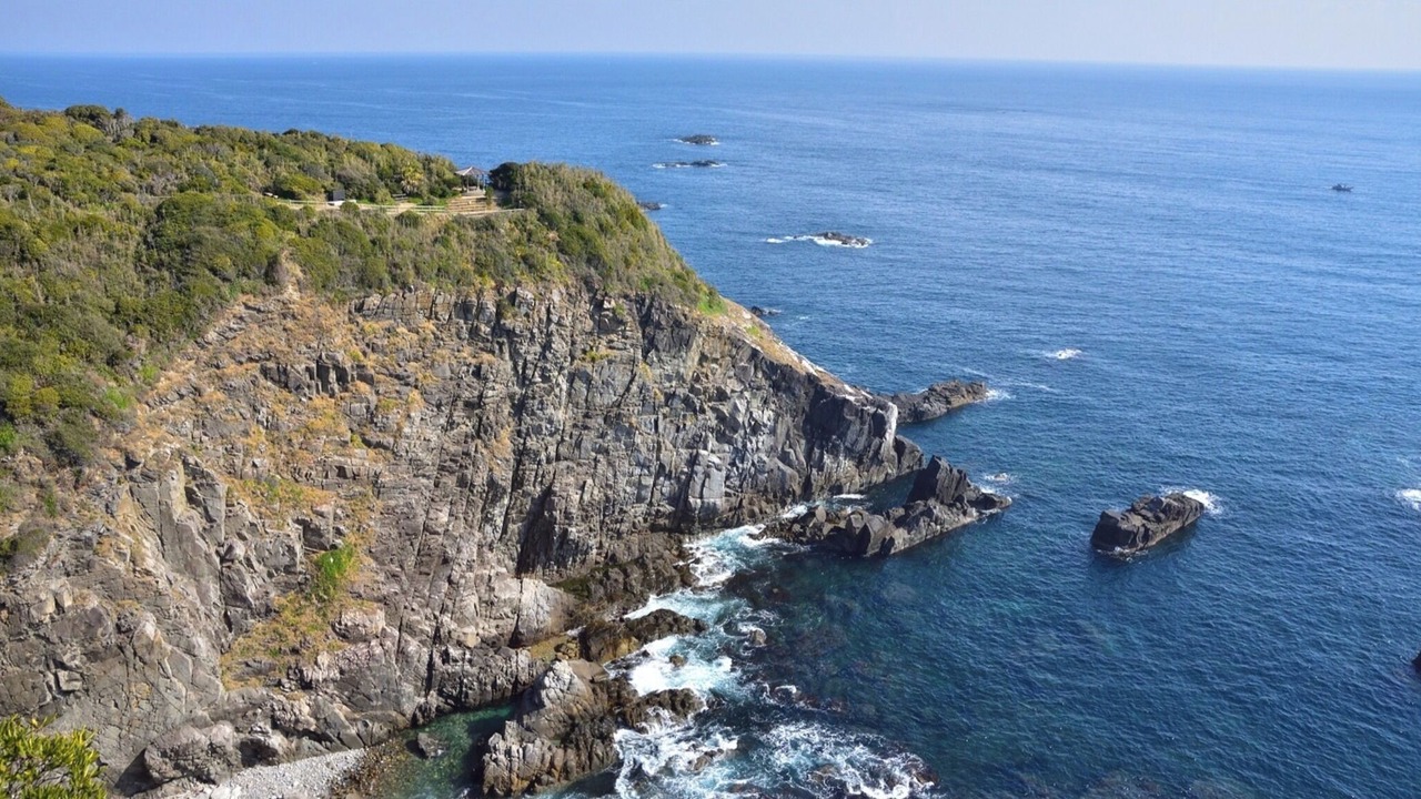 Photo of Others in Tosashimizu