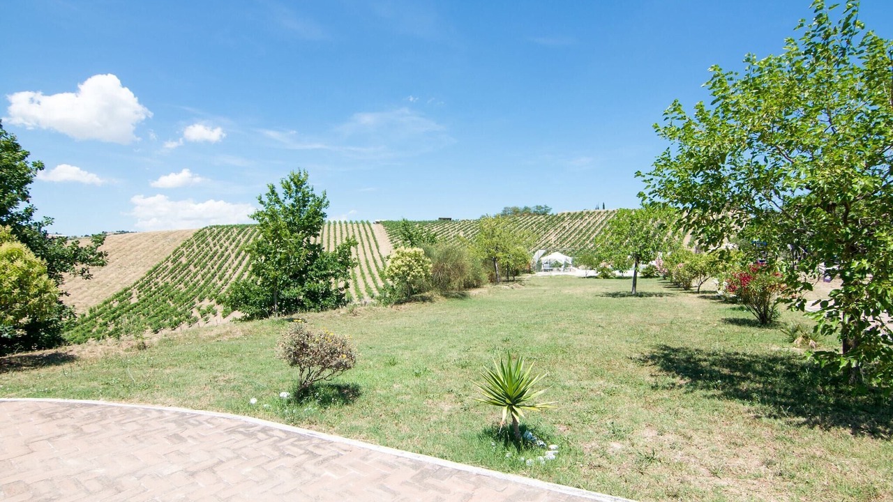Photo of Others in San Savino