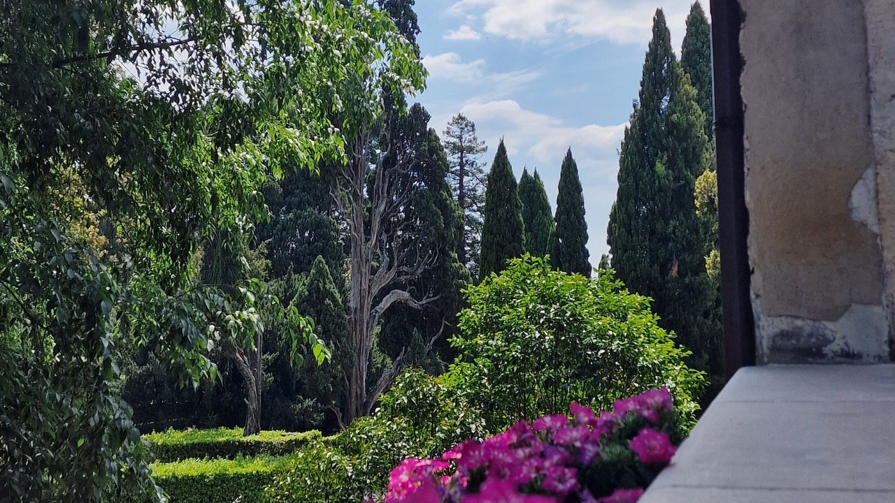 Photo of Outdoor in Tivoli