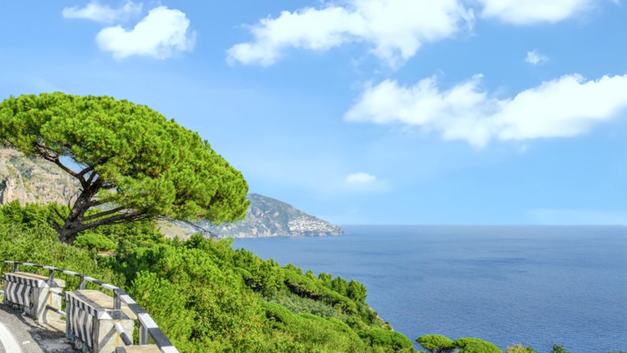 Photo of Others in Sorrento