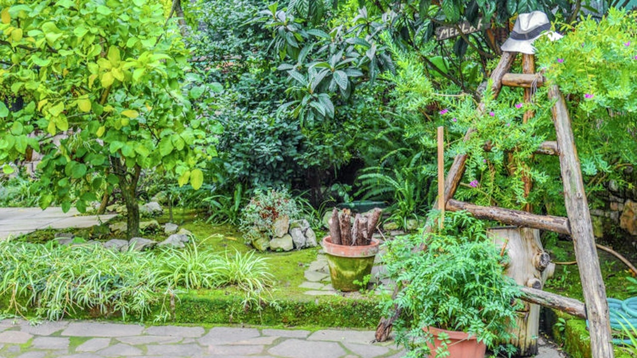 Photo of Outdoor in Sorrento
