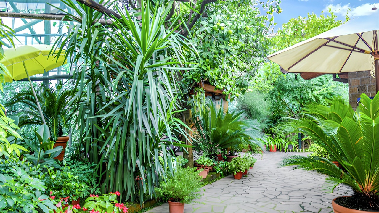Photo of Outdoor in Sorrento