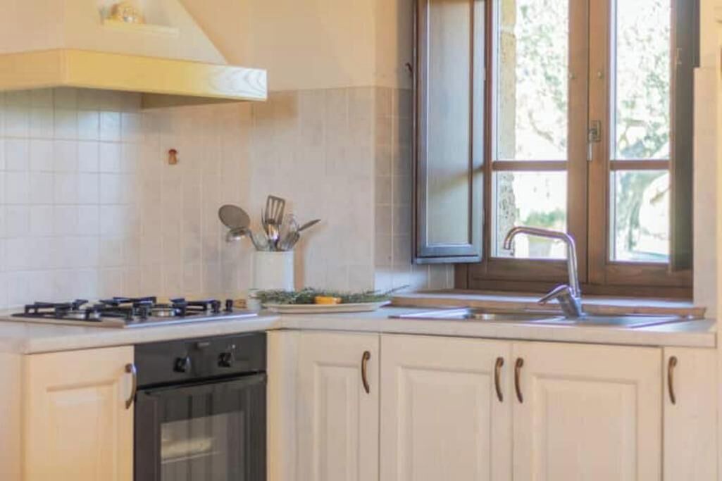 Photo of Kitchen in Bolsena