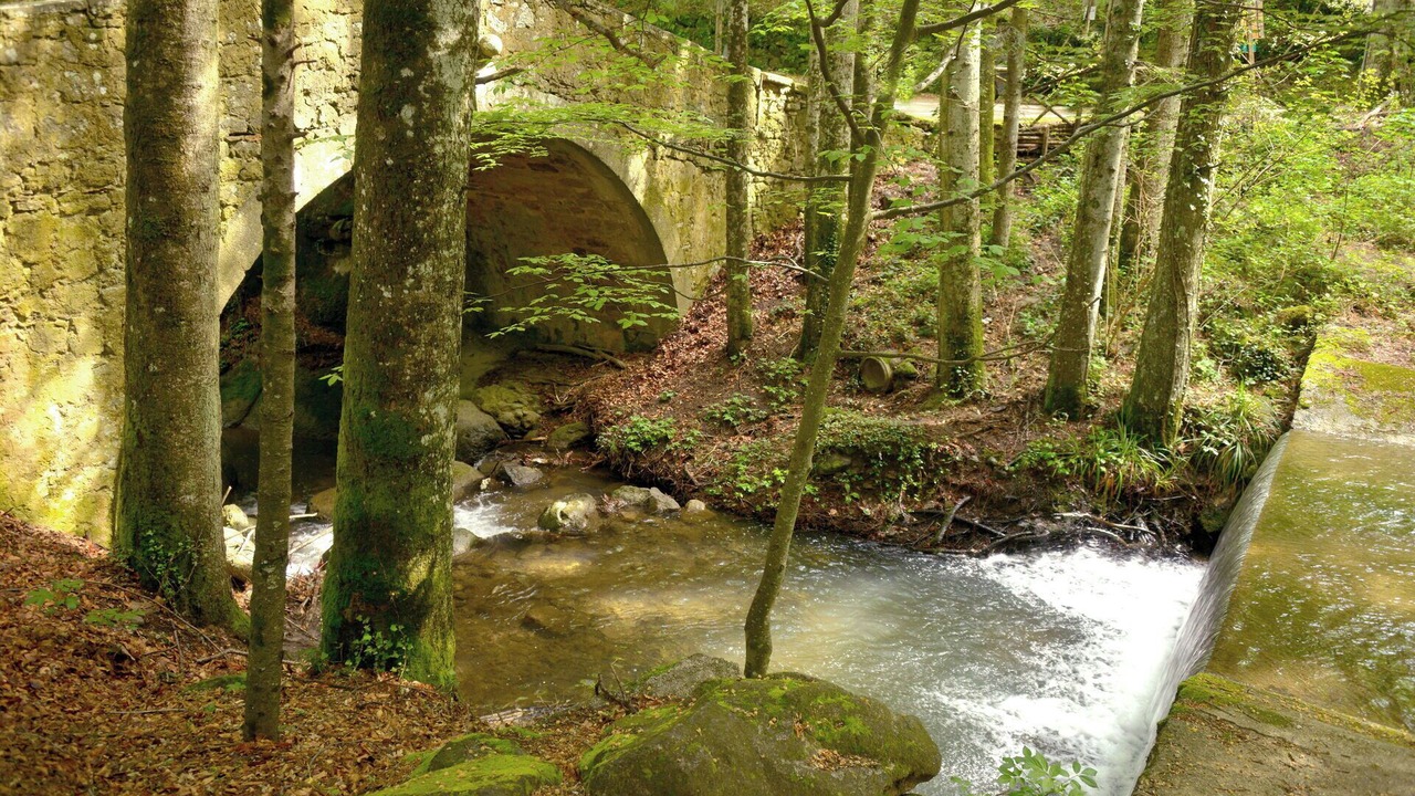 Photo of Outdoor in Castiglione d'Orcia