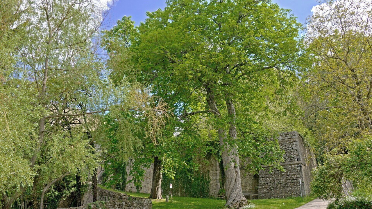 Photo of Outdoor in Castiglione d'Orcia
