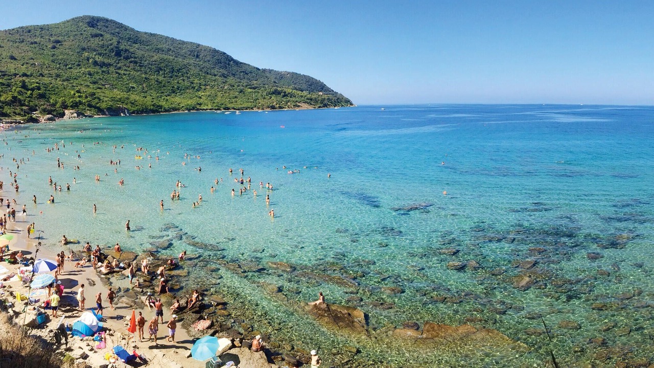 Photo of Others in Senerchia