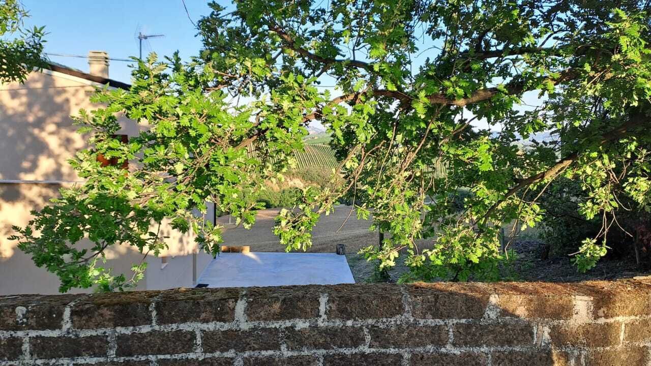 Photo of Outdoor in Offida