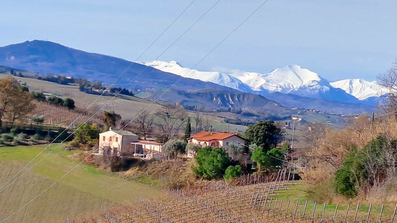 Photo of Outdoor in Offida