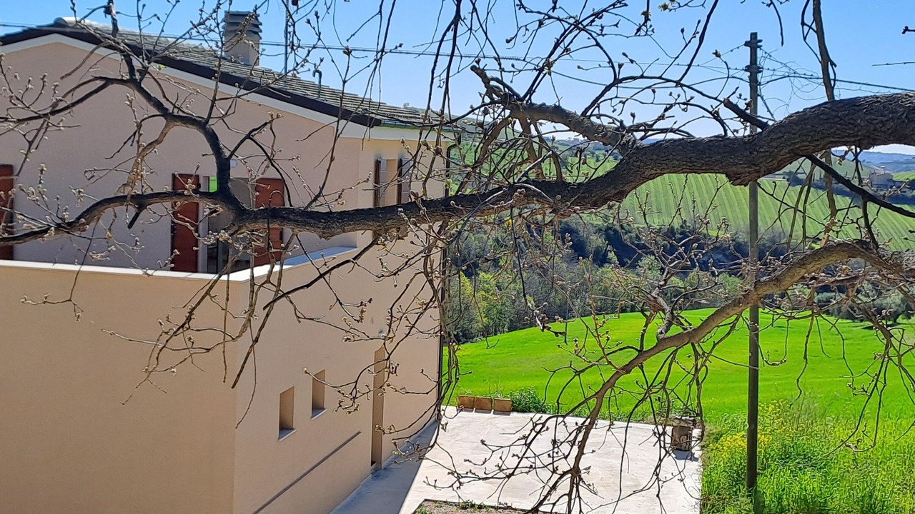 Photo of Outdoor in Offida