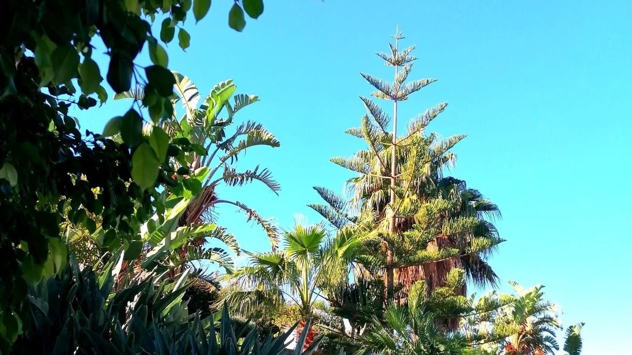 Photo of Outdoor in Forio