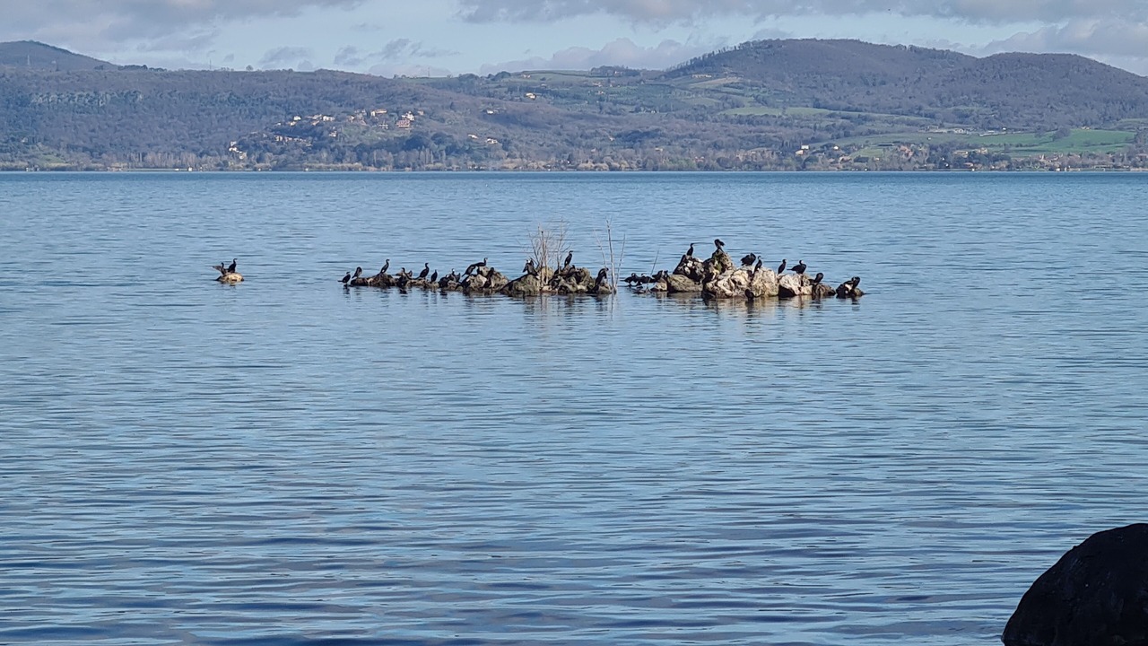 Photo of Others in Lake Bracciano