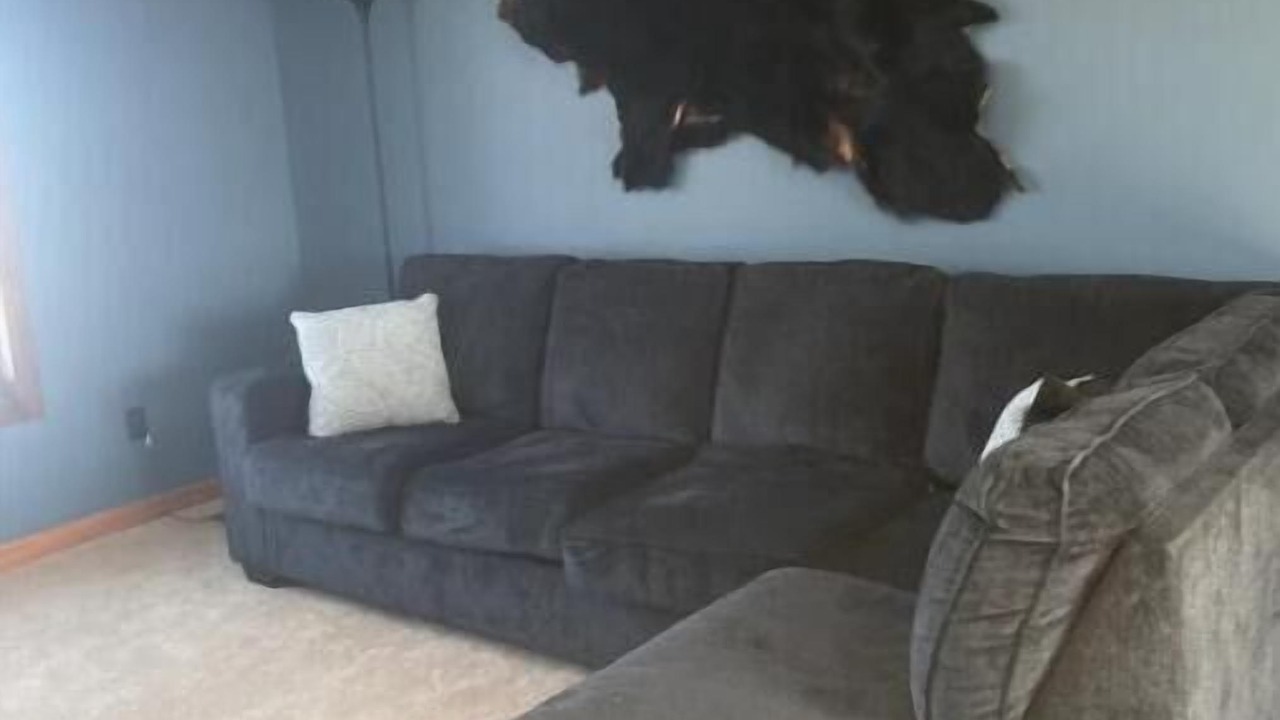 Photo of Livingroom in Martin