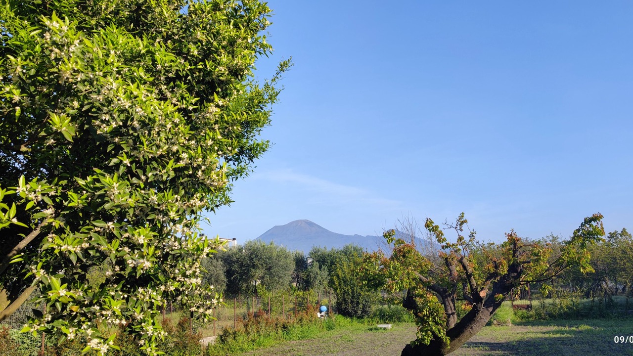 Photo of Others in Pompei