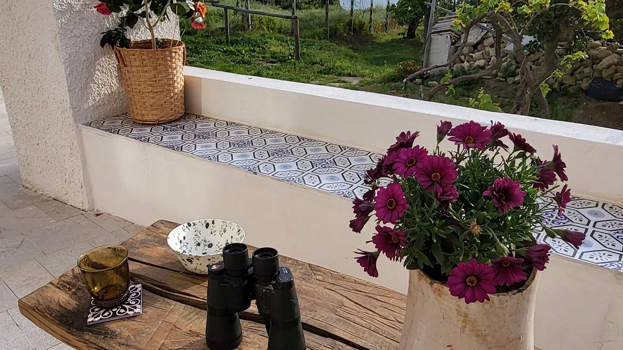 Photo of Patio Balcony in Monte di Procida