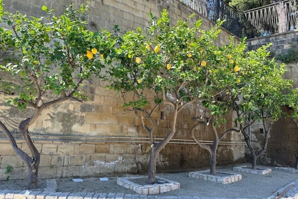 Photo of Outdoor in Naples
