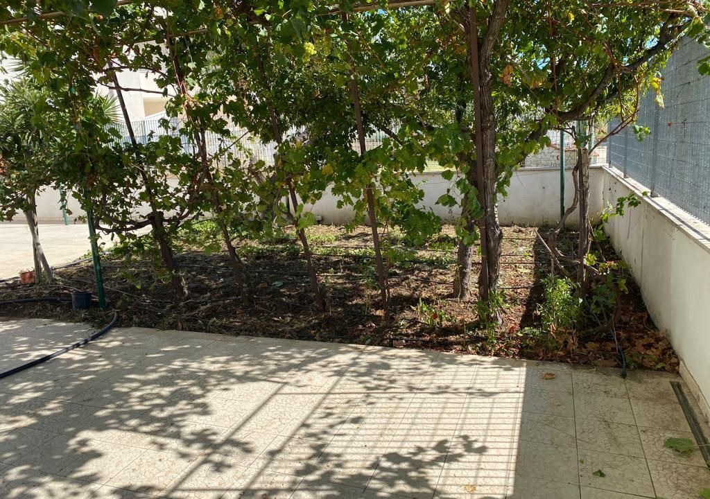 Photo of Outdoor in Lesina Marina