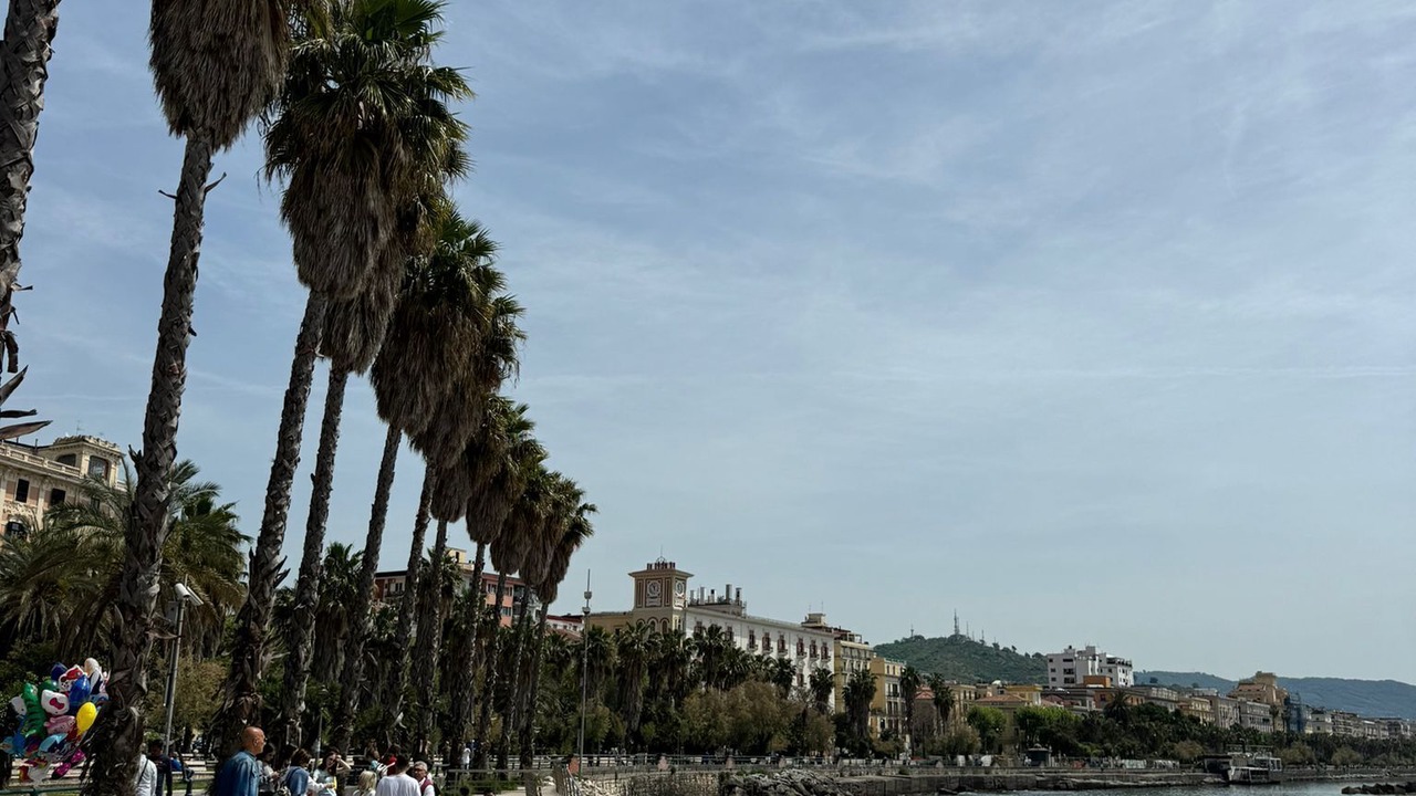Photo of Others in Historical Downtown Salerno