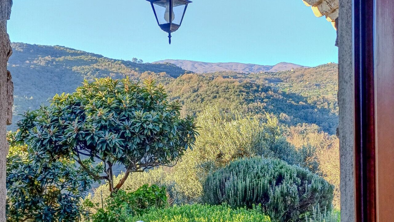 Photo of Outdoor in Rutino