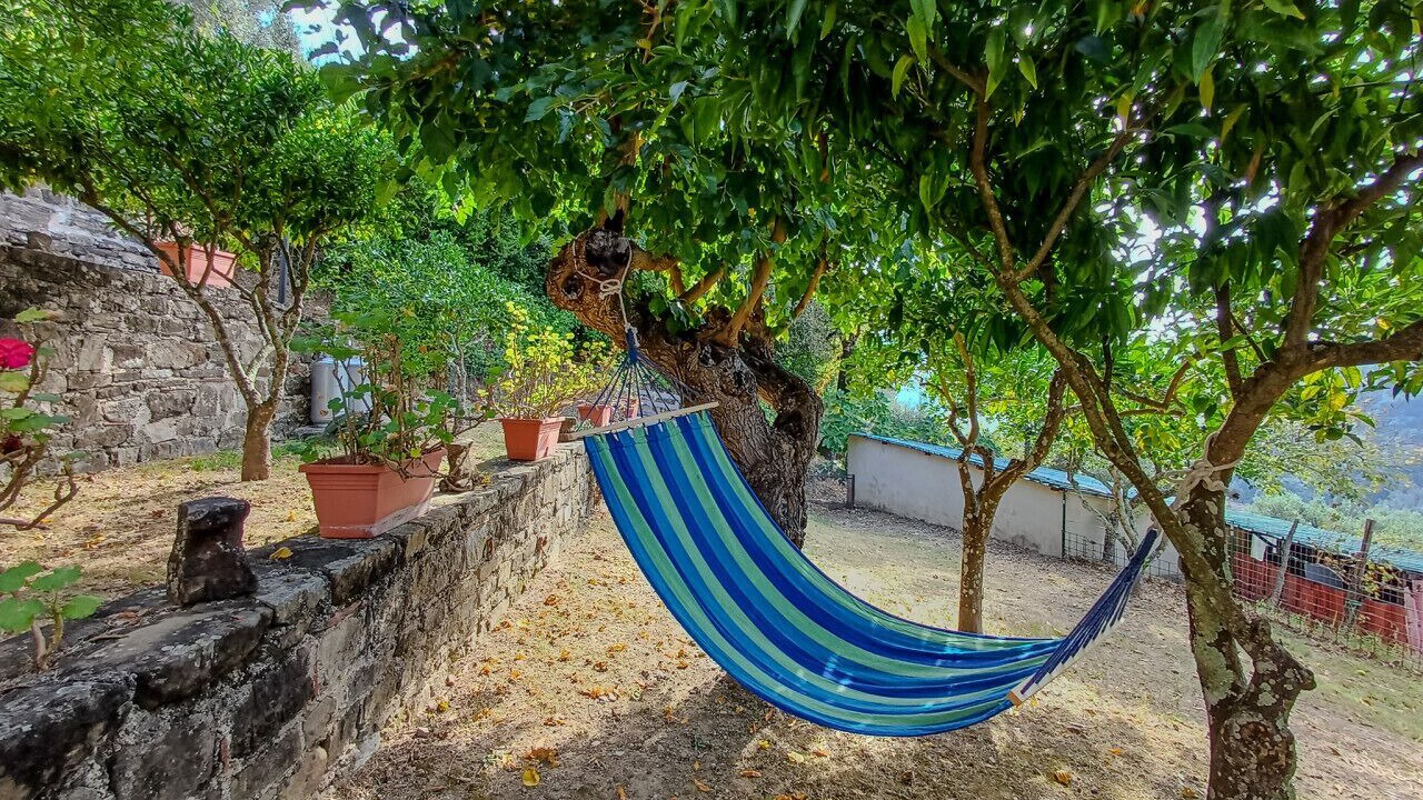 Photo of Outdoor in Rutino