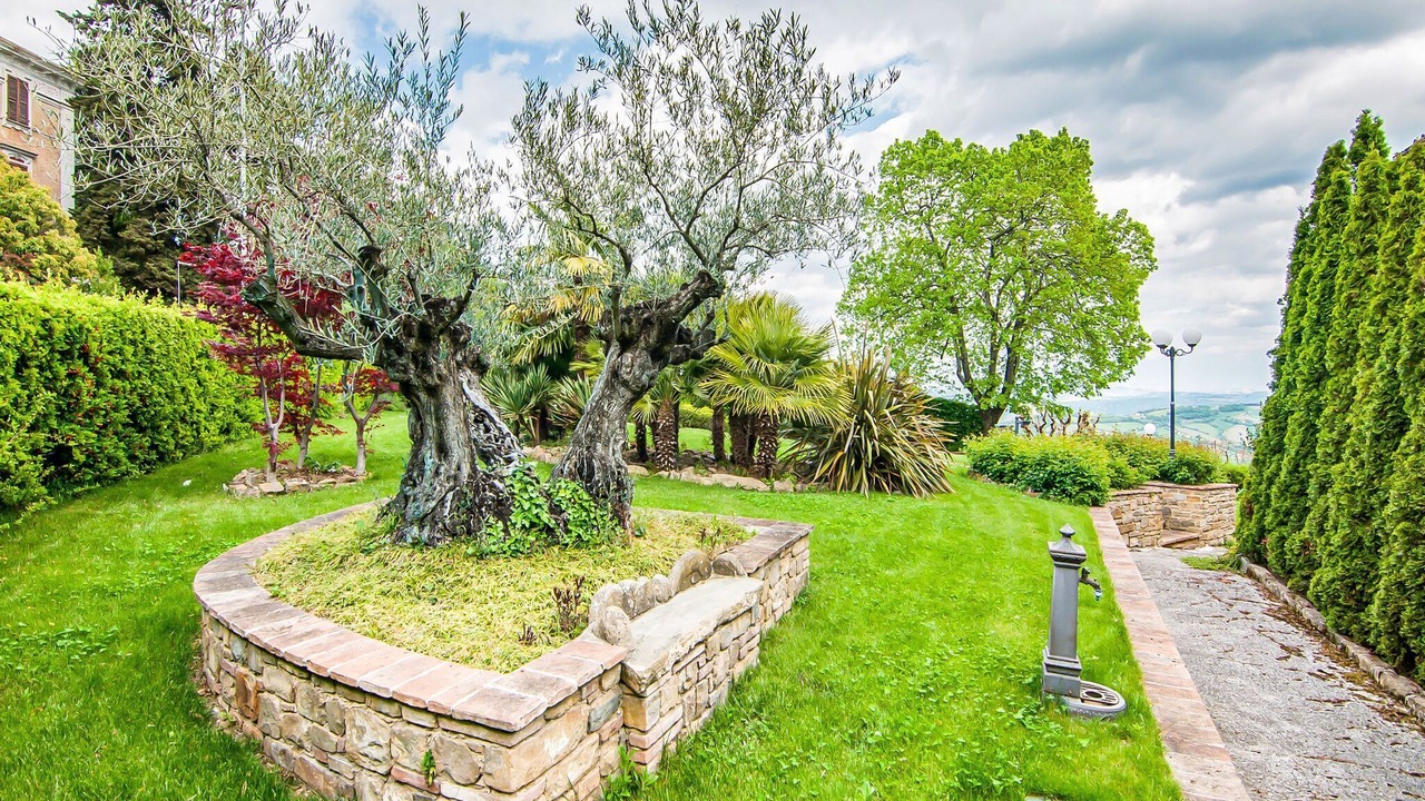Photo of Outdoor in Cupramontana