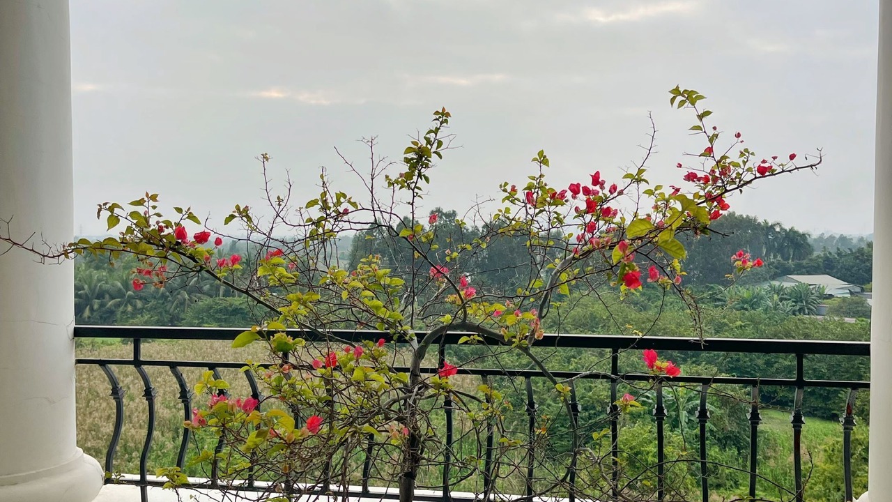 Photo of Patio Balcony in Le Chan