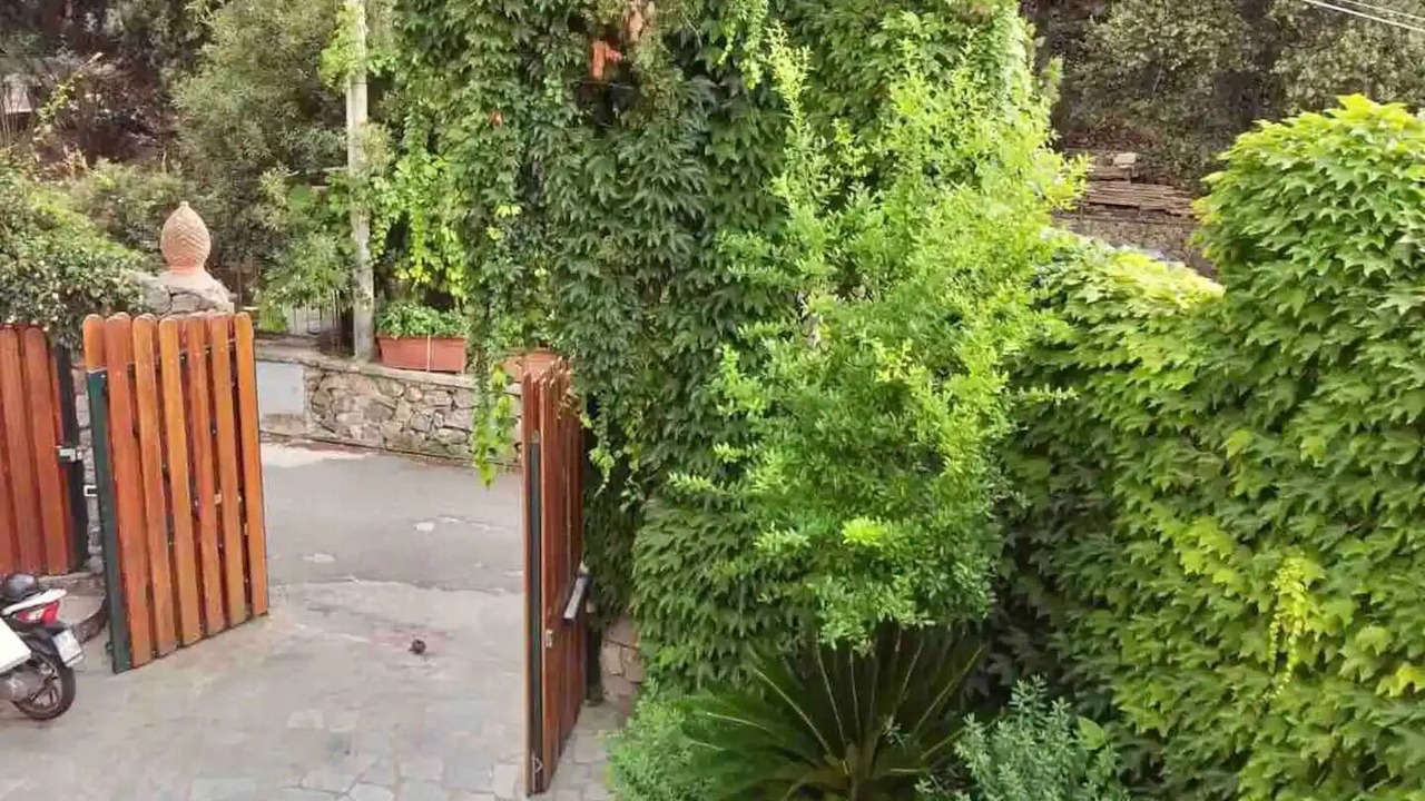 Photo of Outdoor in Forio