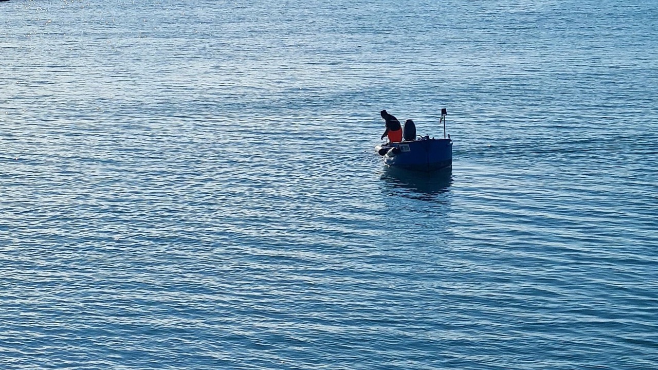 Photo of Others in Manfredonia