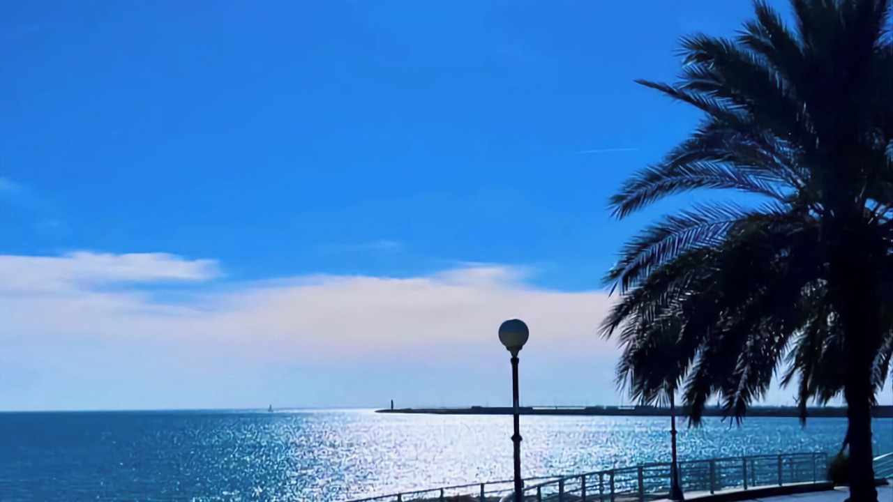 Photo of Others in Manfredonia