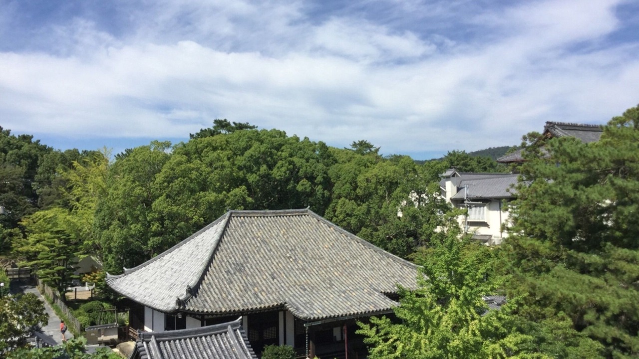Photo of Outdoor in Nara