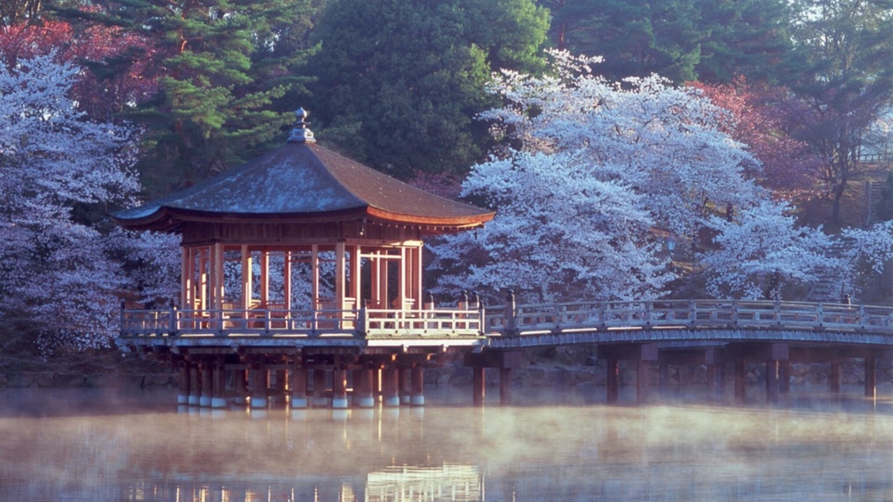 Photo of Outdoor in Nara