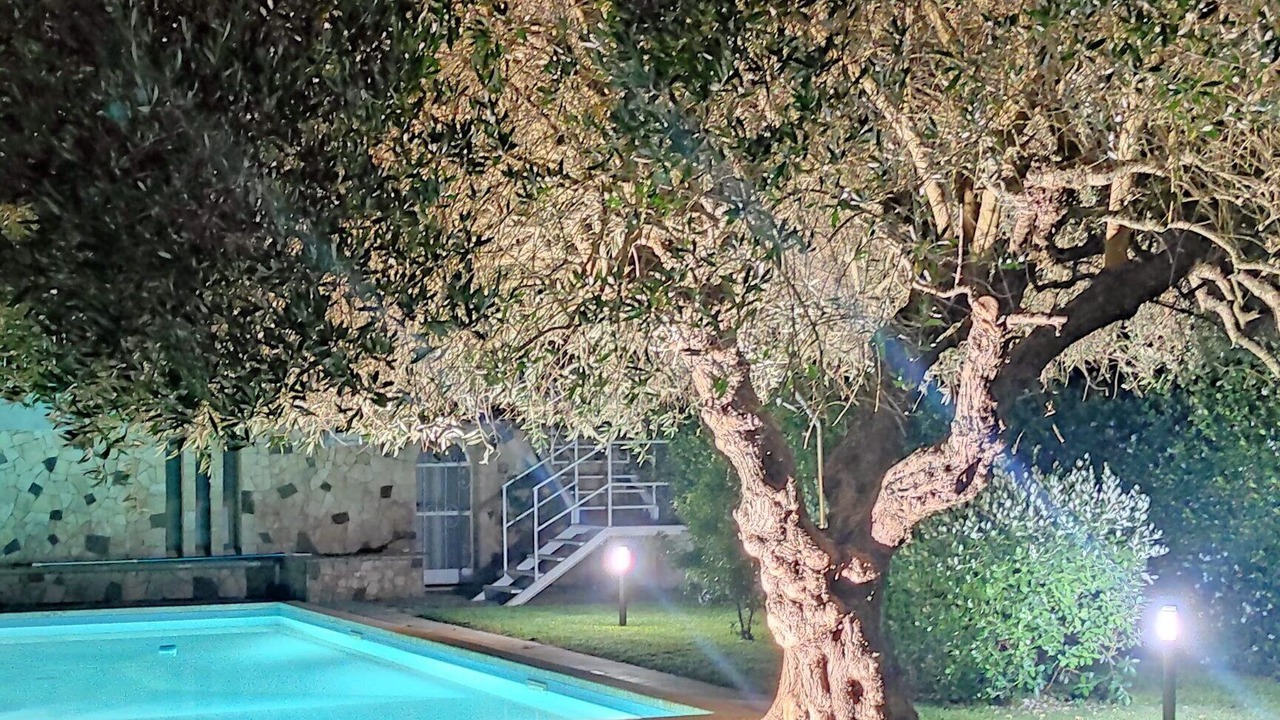 Photo of Outdoor in Latina Lido