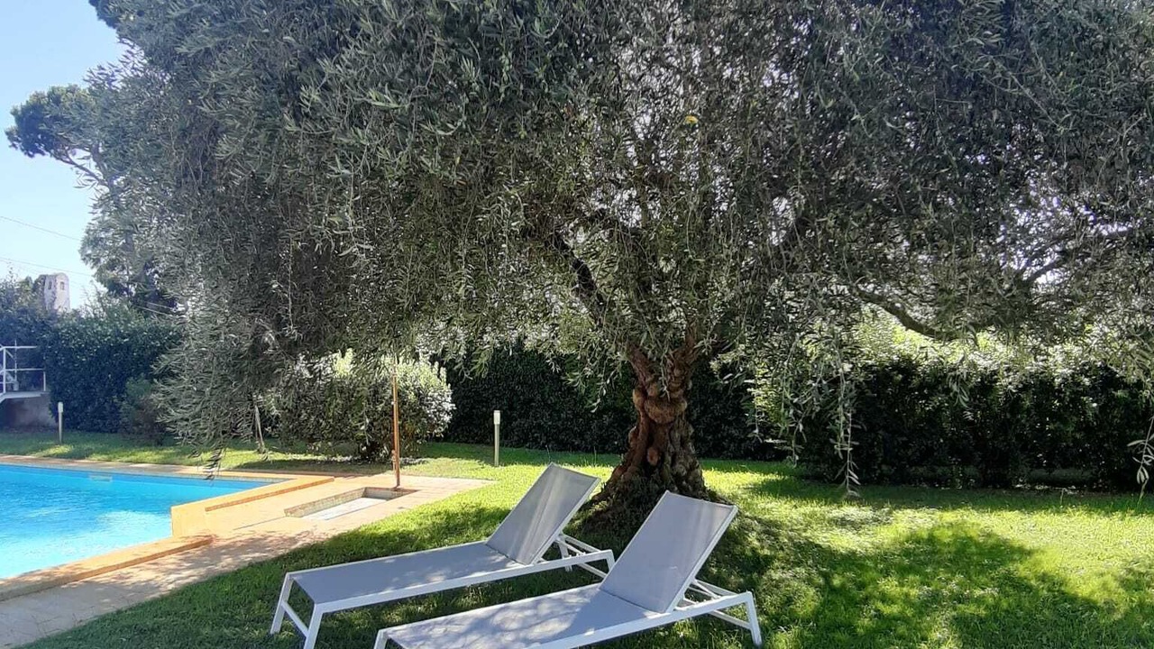 Photo of Outdoor in Latina Lido