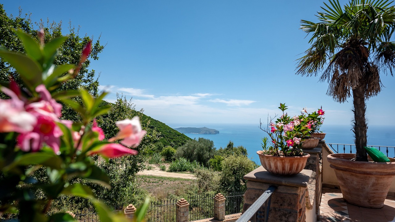 Photo of Outdoor in Pisciotta
