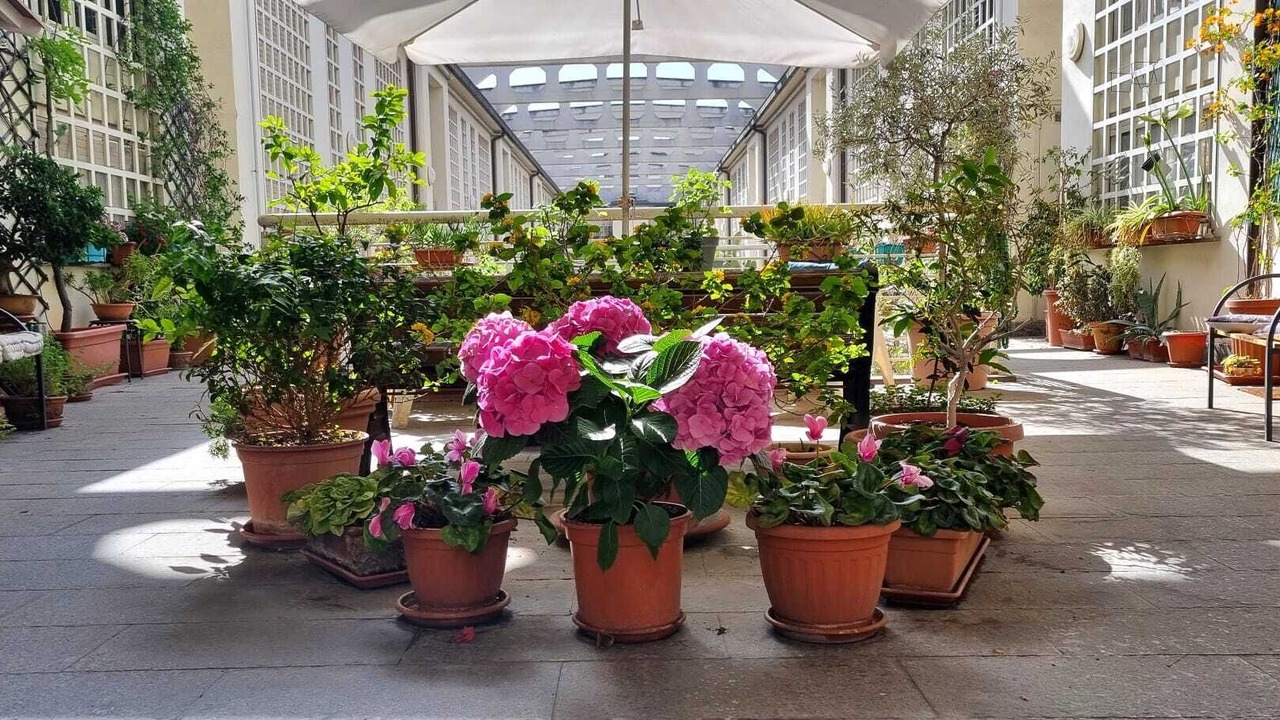 Photo of Patio Balcony in Prenestino-Labicano