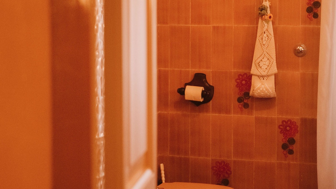 Photo of Bathroom in Tolfa