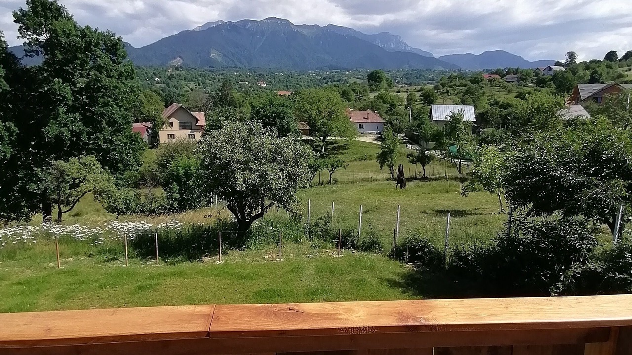 Photo of Outdoor in Bran