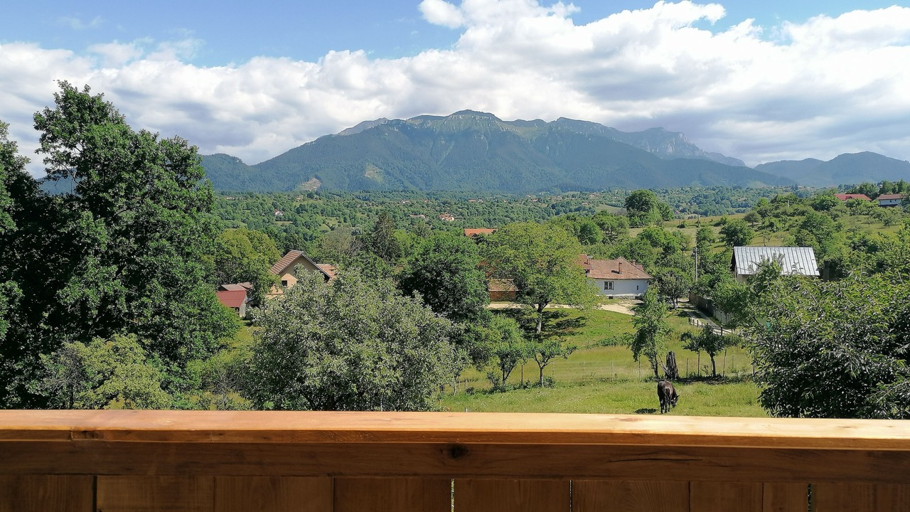 Photo of Outdoor in Bran