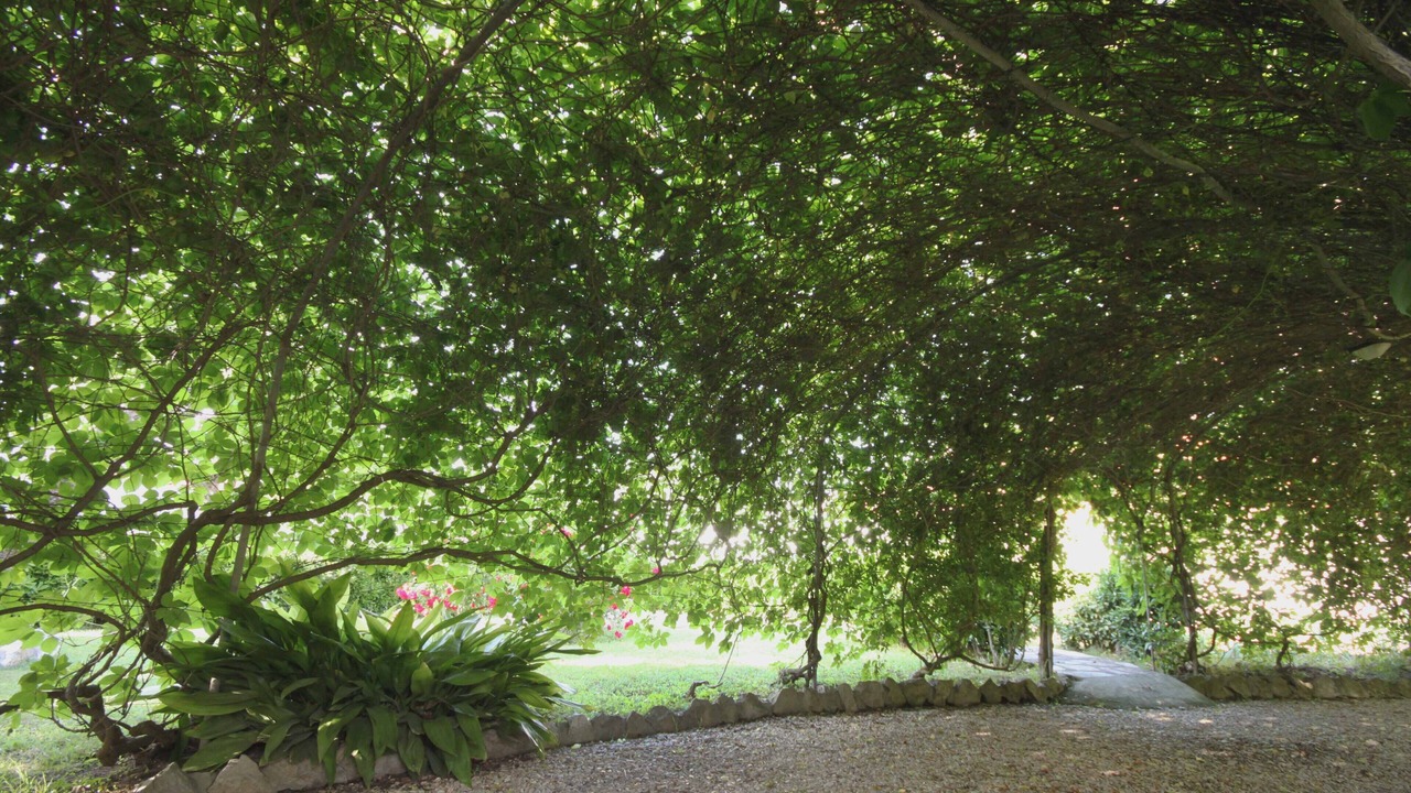 Photo of Outdoor in Tor San Lorenzo