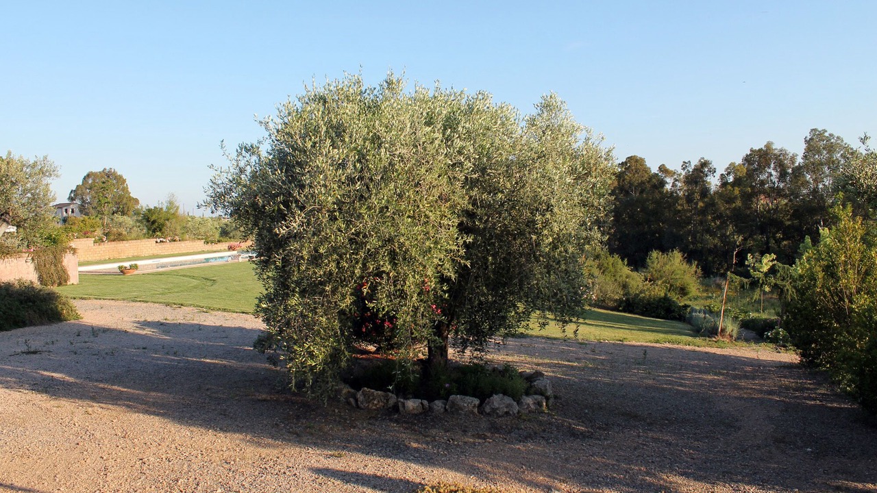 Photo of Outdoor in Montalto di Castro
