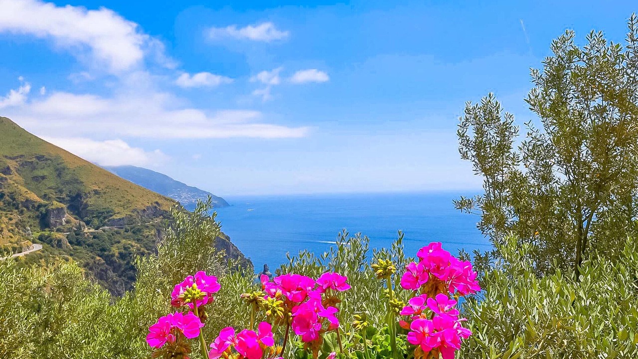 Photo of Others in Vico Equense