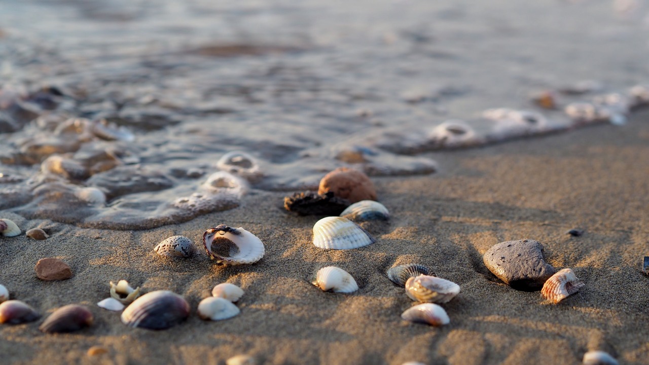Photo of Others in Bibione Pineda