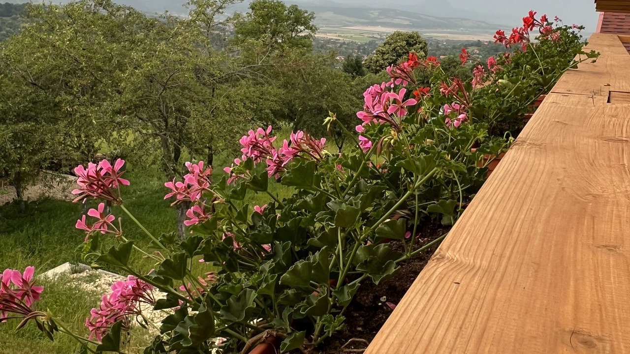 Photo of Outdoor in Bran