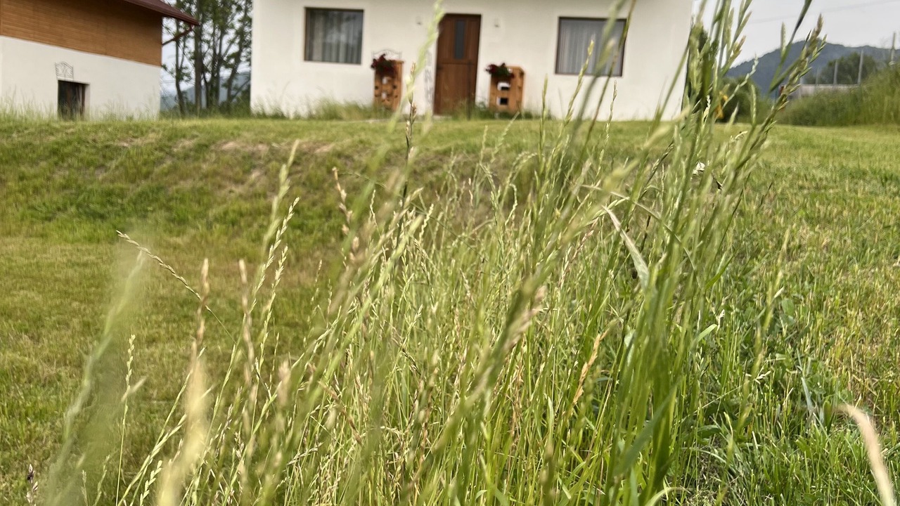 Photo of Outdoor in Bran