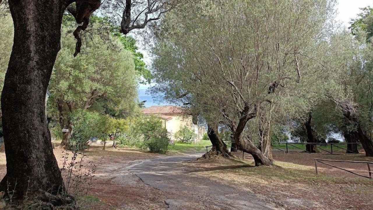 Photo of Others in Scario