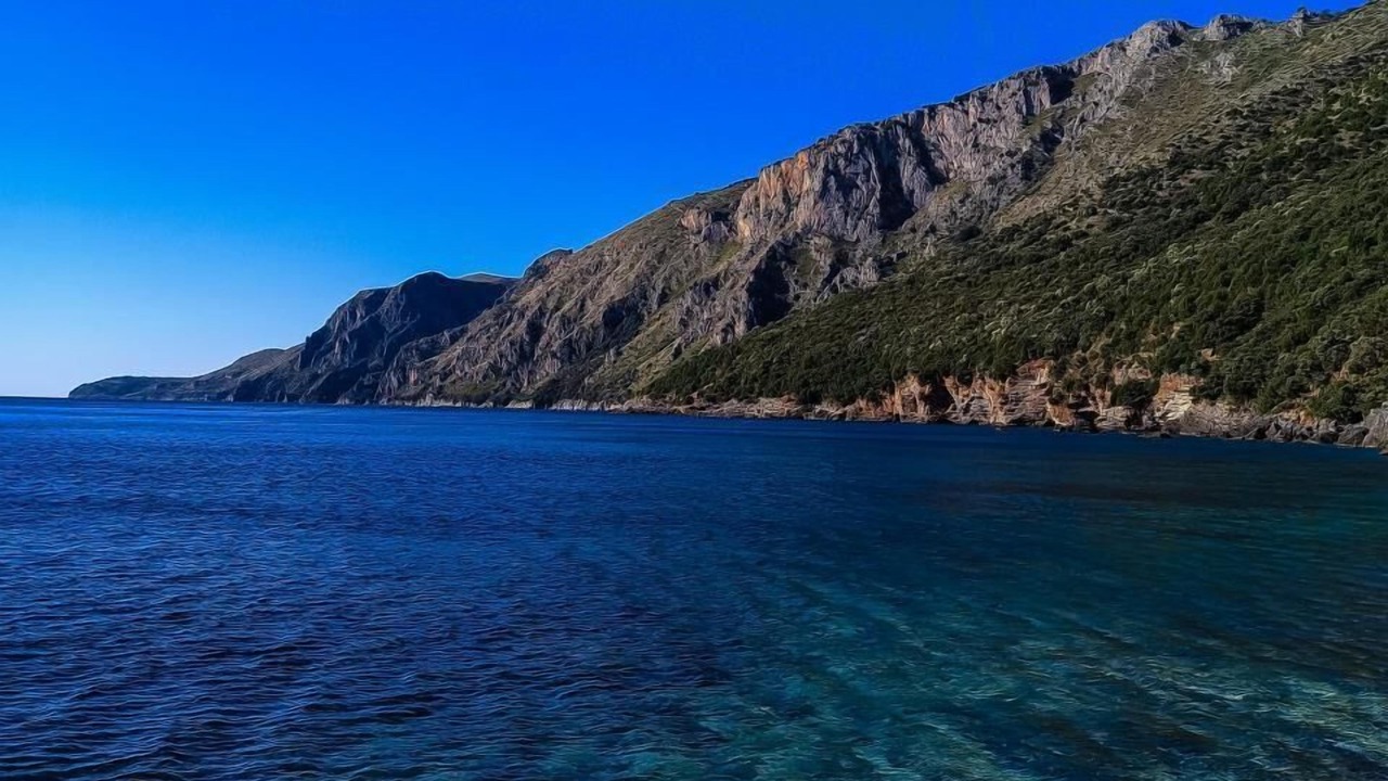 Photo of Others in Scario