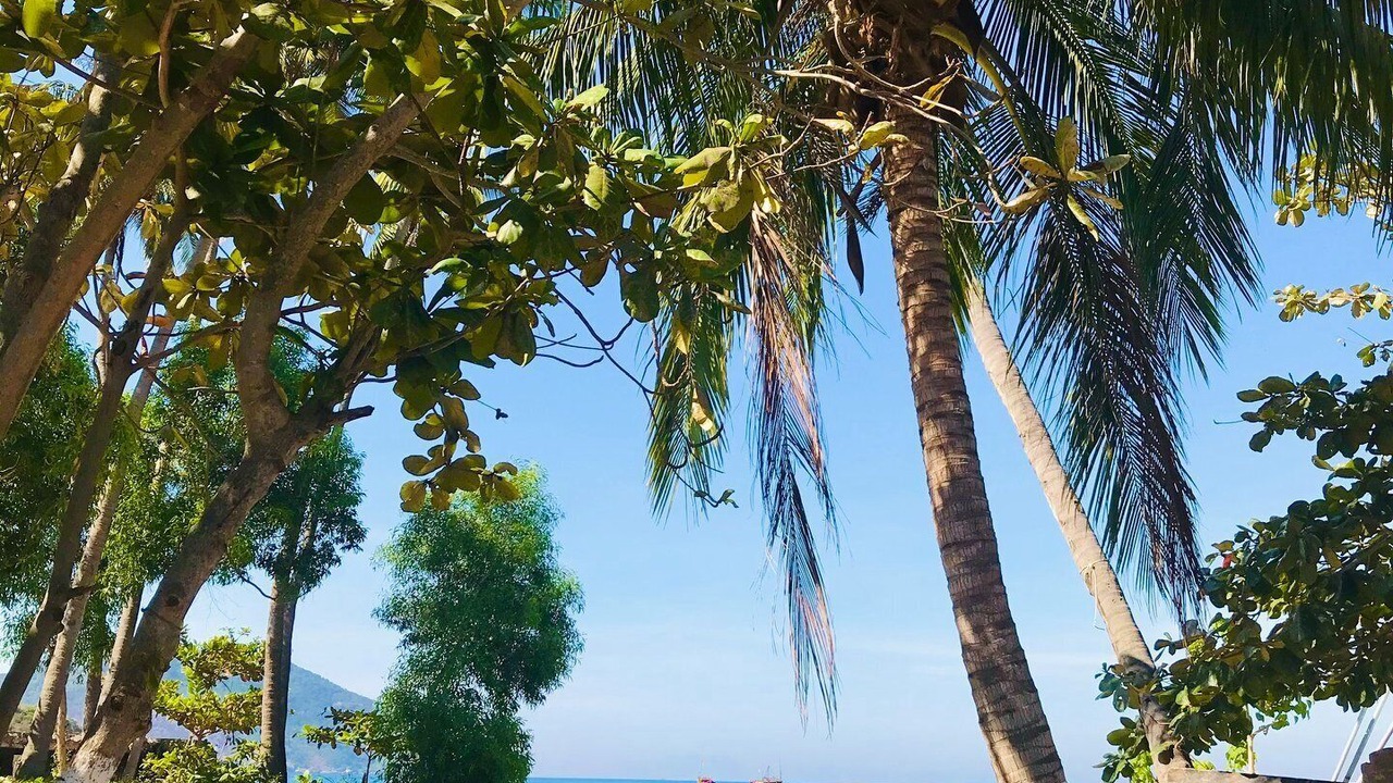 Photo of Others in Cham Island