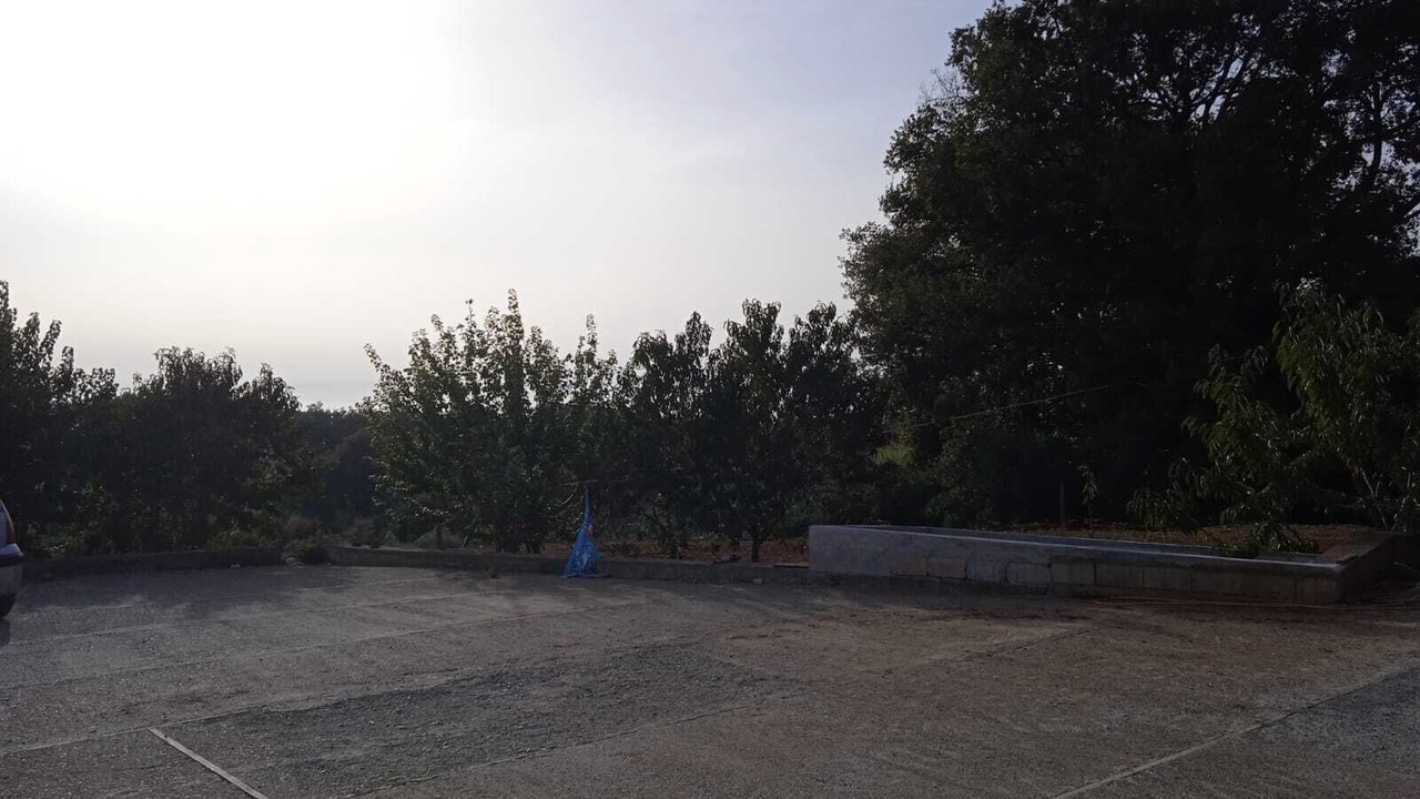 Photo of Others in Western Cosenza Coast